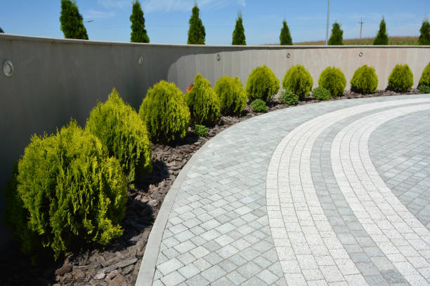 Best Professional Driveway Pavers  in Beech Island, SC